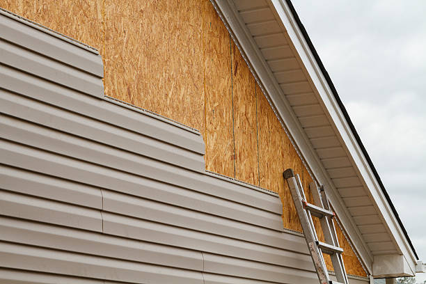 Professional Siding Repair technician working in Riverdale, IL